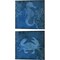 Navy Sea Crab & Sea Horse by Posters International Studio 14" x 14" Canvas Wall Art (Set of 2)